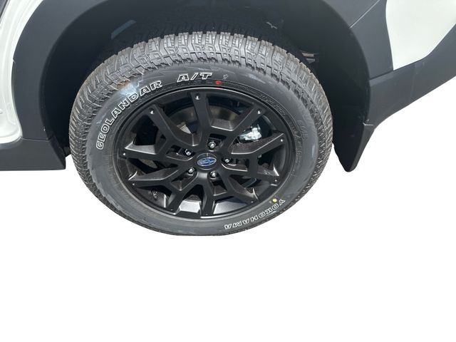 2025 Subaru Crosstrek Wilderness - Photo 10