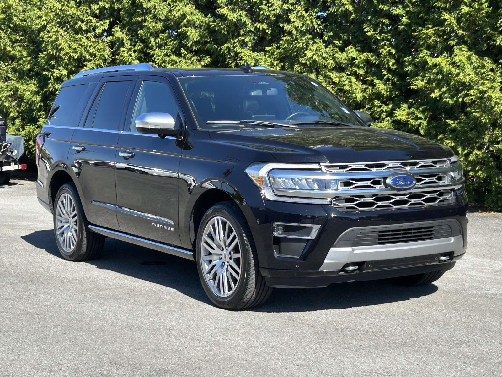 2023 Ford Expedition Platinum's photo