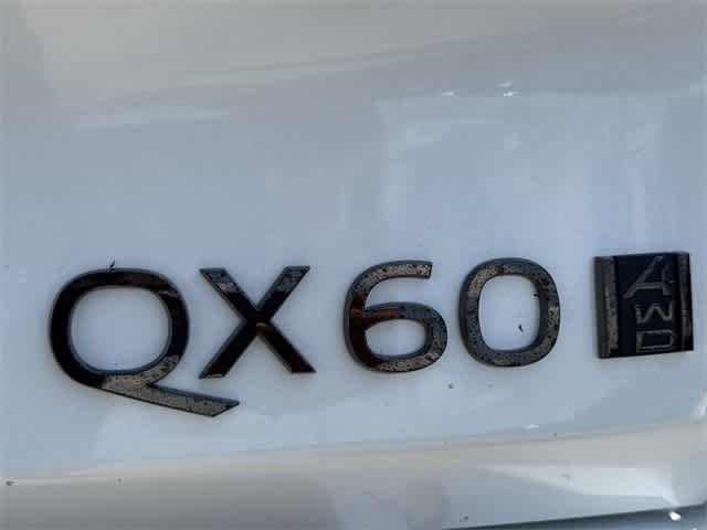 Thumbnail: 2026 INFINITI QX60 - 5