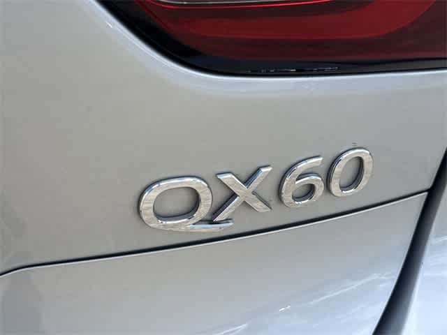 Thumbnail: 2020 INFINITI QX60 - 5