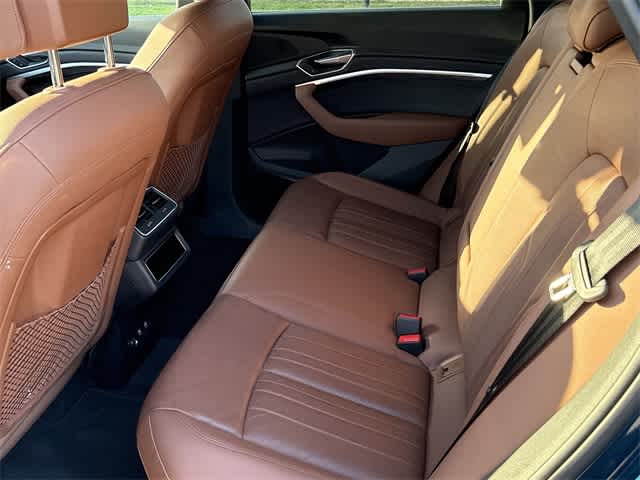 Thumbnail: 2019 Audi e-tron - 13