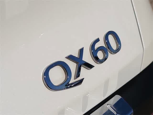 Thumbnail: 2024 INFINITI QX60 - 8
