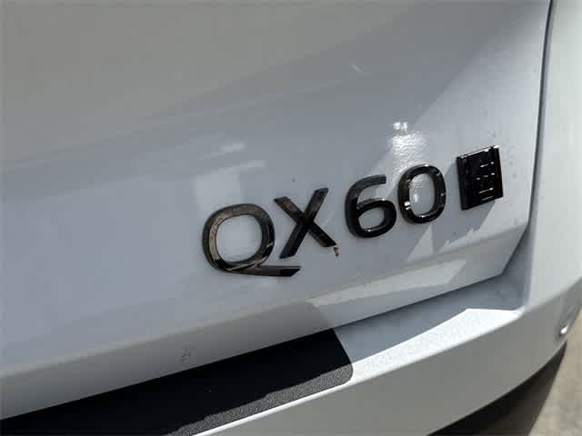 Thumbnail: 2026 INFINITI QX60 - 5
