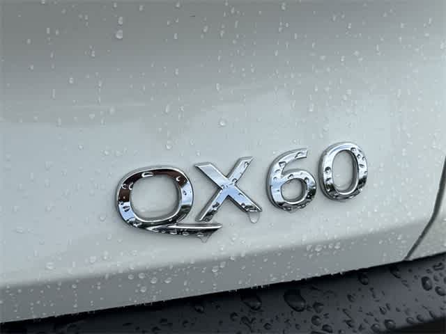 Thumbnail: 2025 INFINITI QX60 - 5