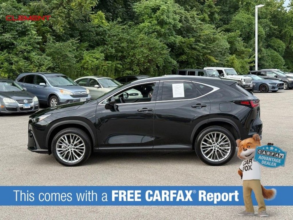 Used 2024 Lexus NX 350 Luxury SUV