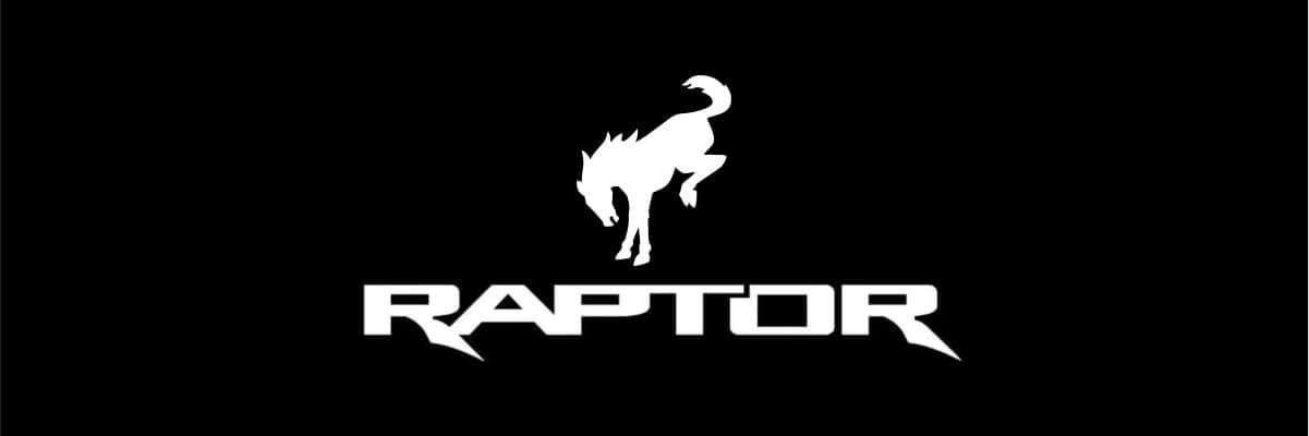 Bronco Raptors