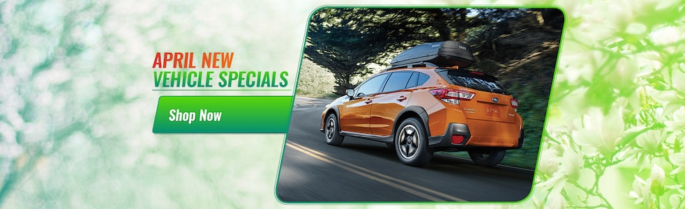 Cleo Bay Honda >> New Subaru Dealer Serving Fort Hood, Temple | Cleo Bay ... Cleo Bay Honda >> New Subaru Dealer Serving Fort Hood, Temple | Cleo Bay ...