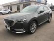 Mazda Mazda CX-9