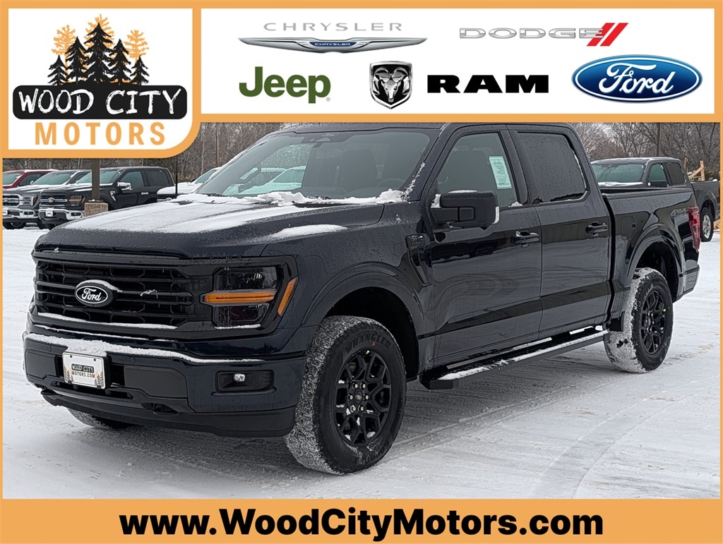 2025 Ford F-150 XLT's photo