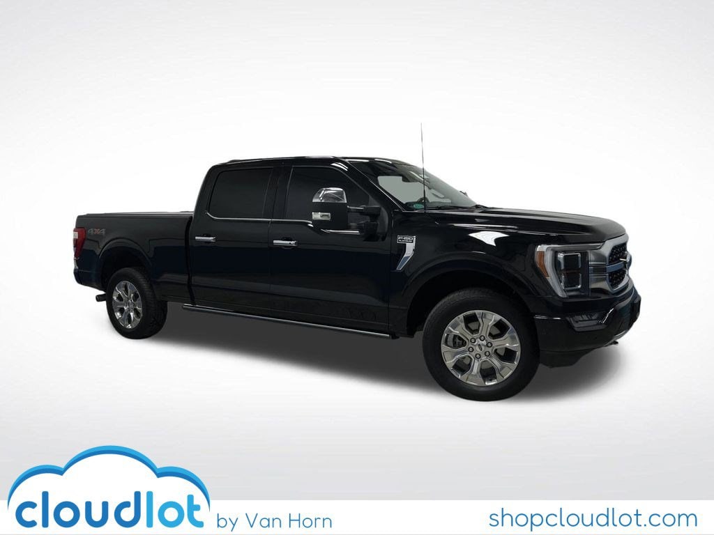 2023 Ford F-150 Platinum's photo