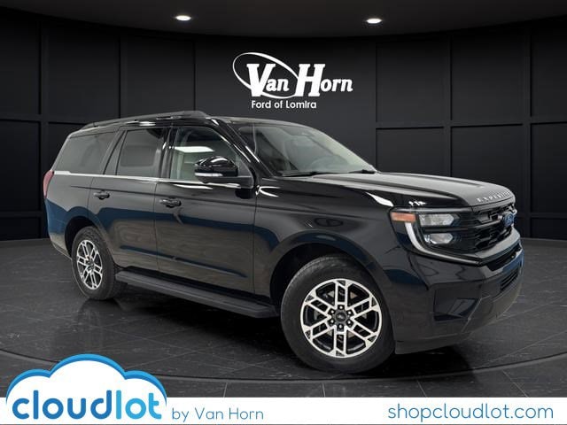 2025 Ford Expedition's photo