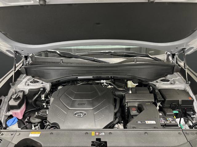 2025 Hyundai Palisade SEL - Photo 41