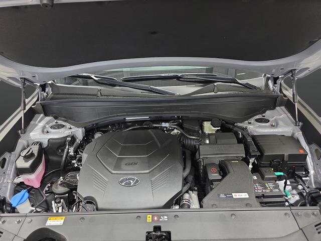 2025 Hyundai Palisade SEL - Photo 41
