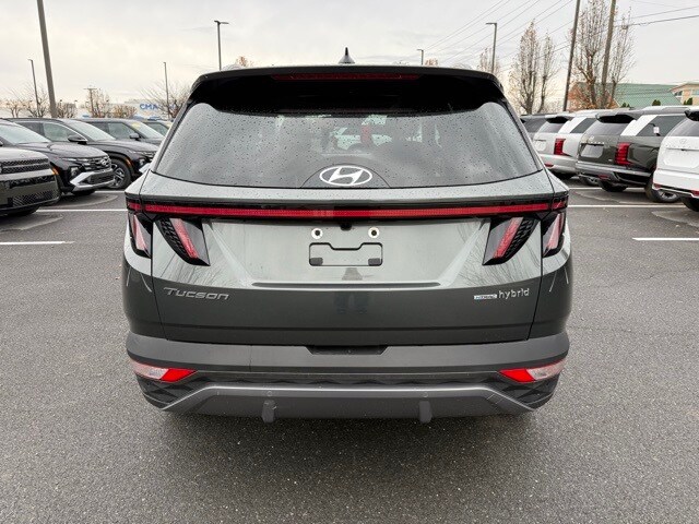 2023 Hyundai Tucson Hybrid Limited photo 3