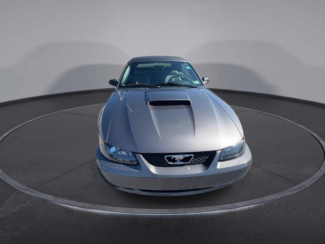 2004 Ford Mustang GT photo 3