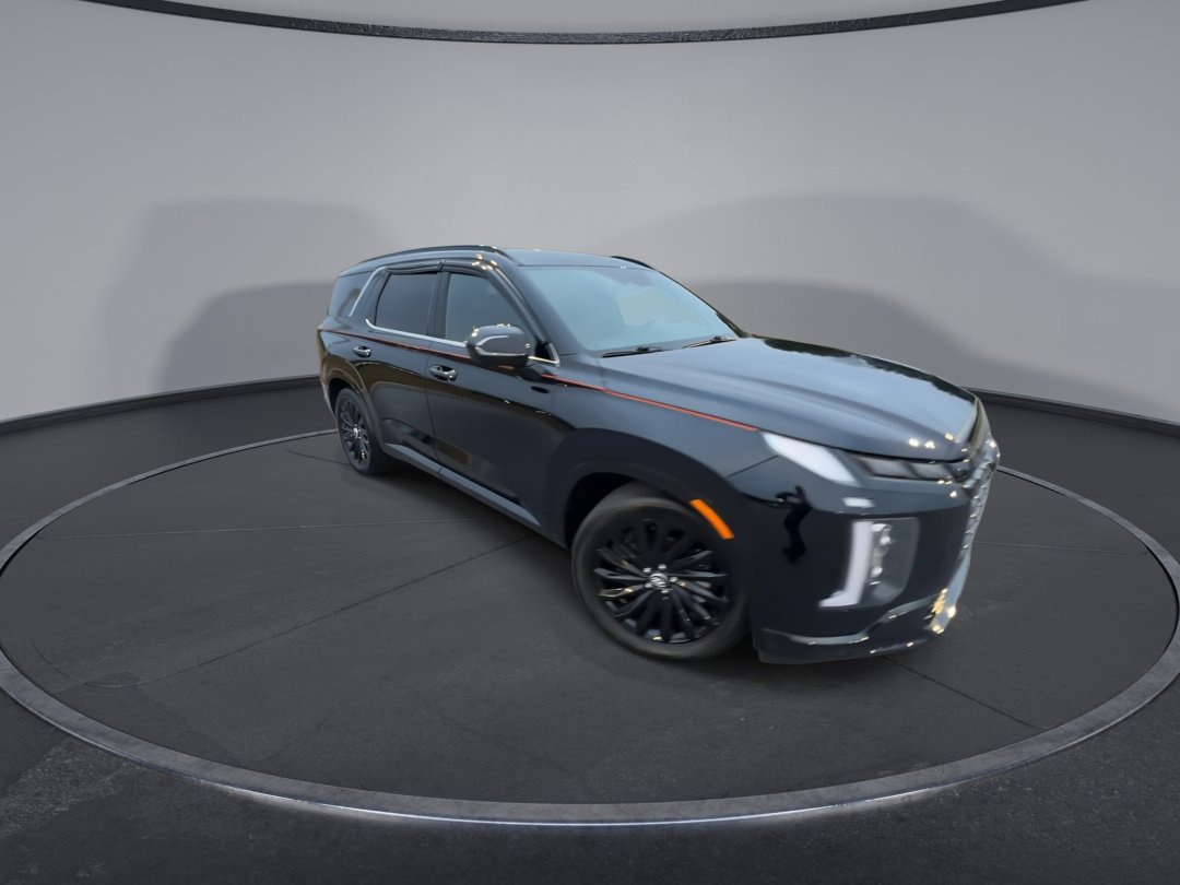 2024 Hyundai Palisade Calligraphy photo 2