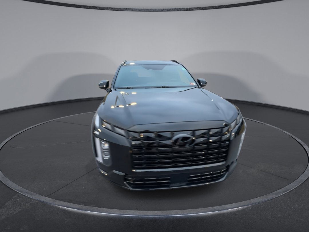 2024 Hyundai Palisade Calligraphy photo 3