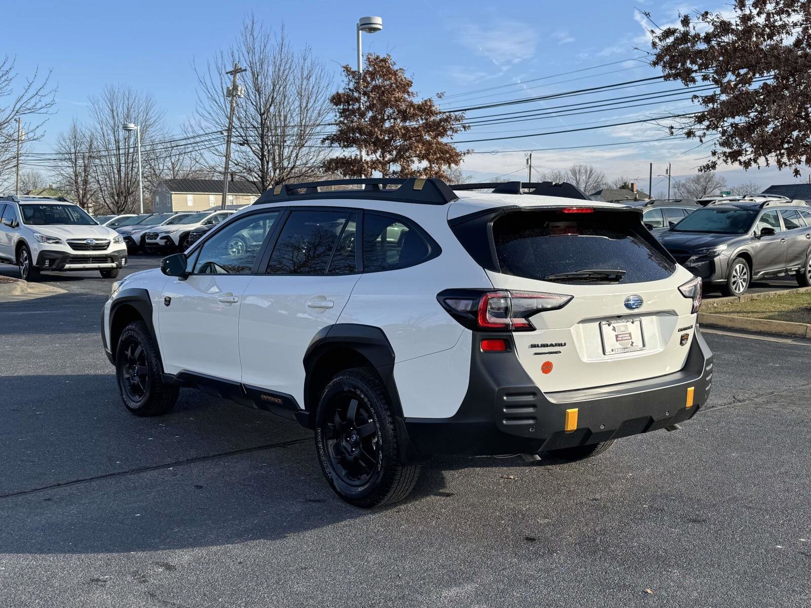 2025 Subaru Outback Wilderness photo 4