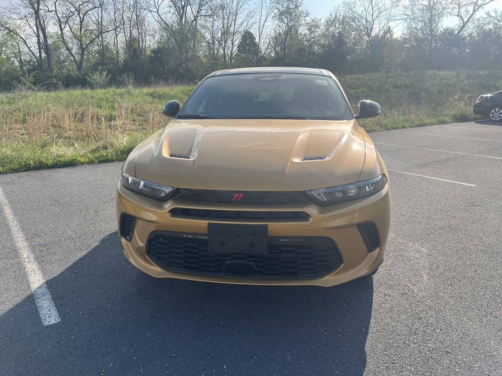 2024 Dodge Hornet GT photo 2