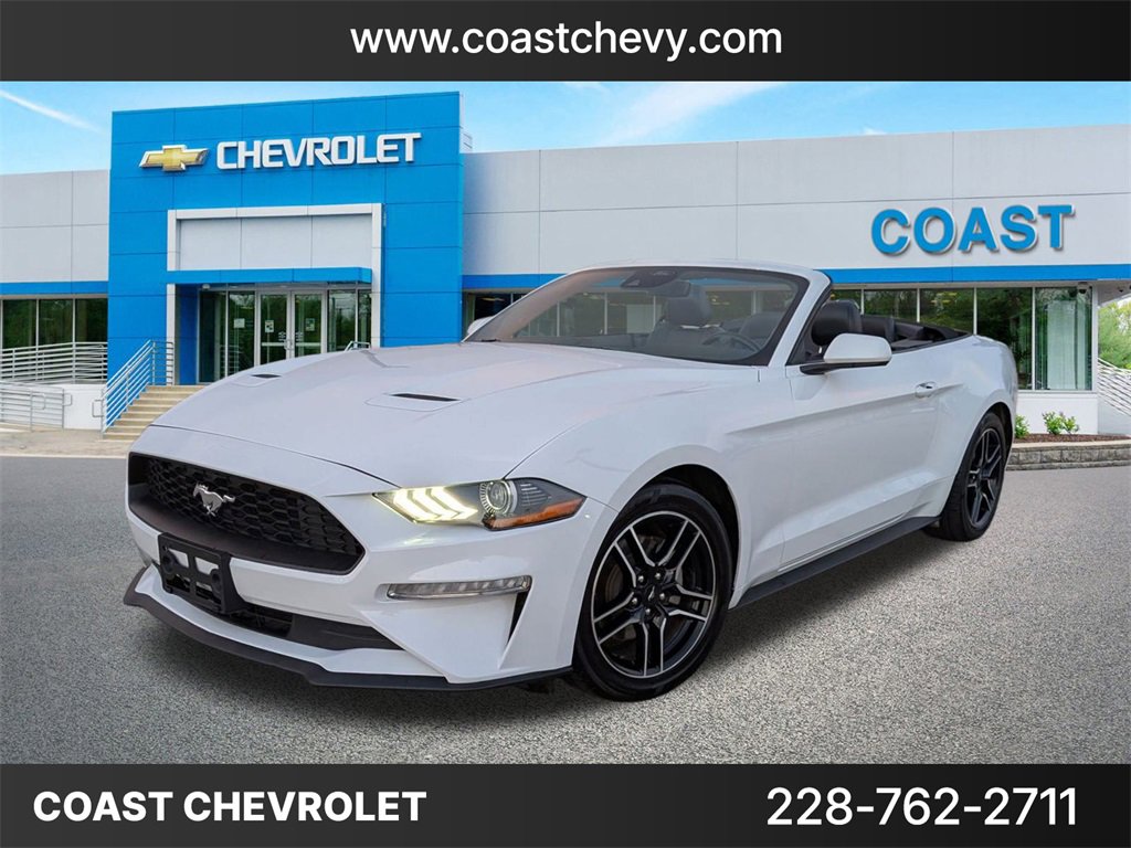 2023 Ford Mustang EcoBoost's photo