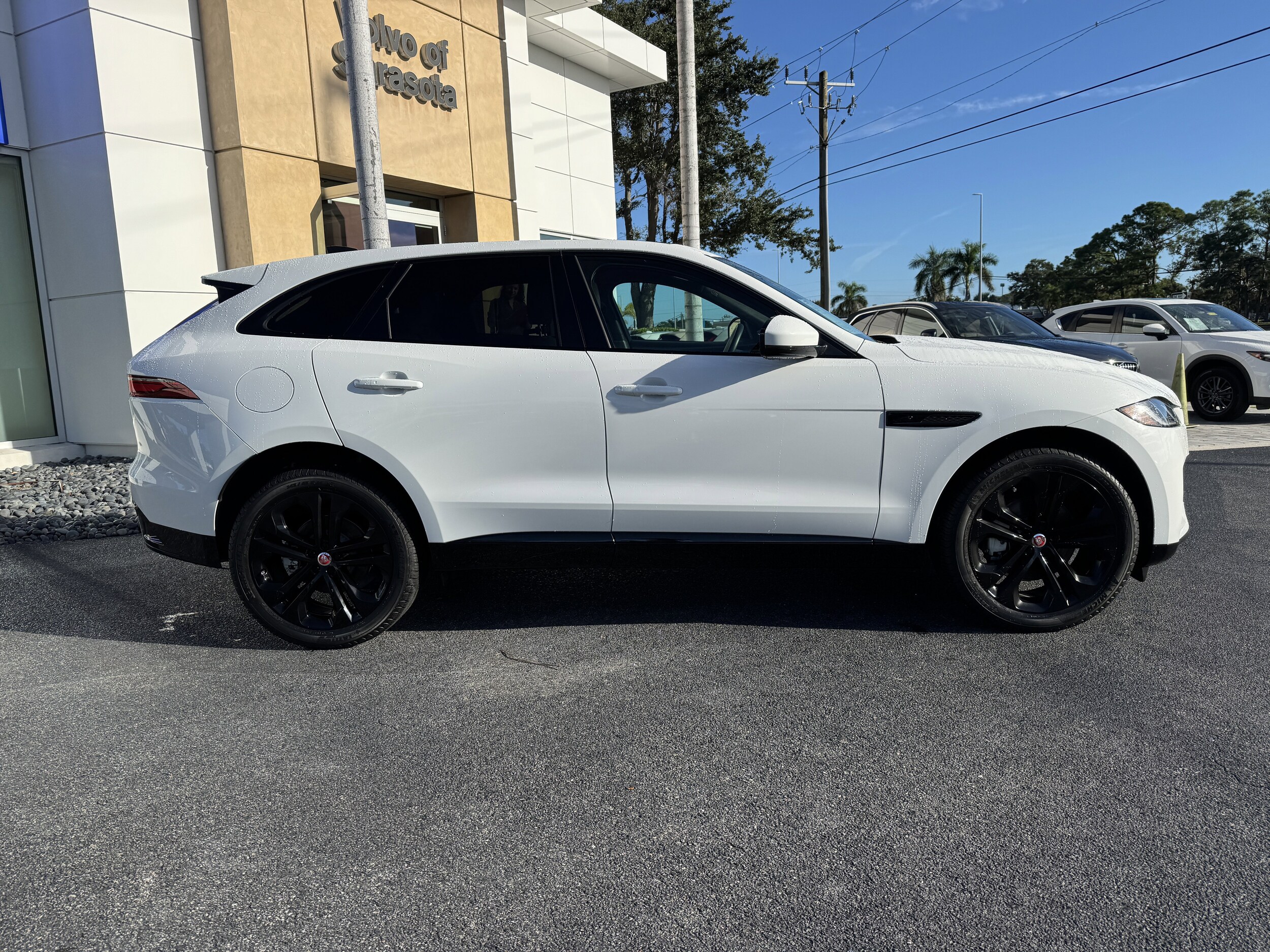 2023 Jaguar F-PACE P250 S photo 2