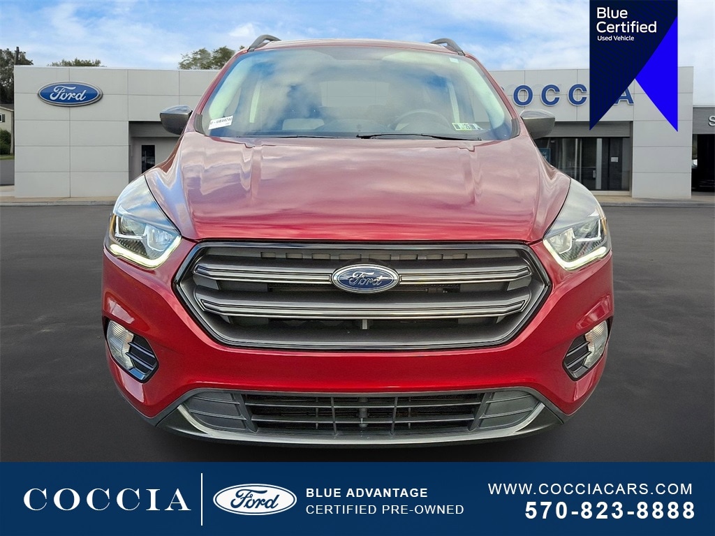 Certified 2019 Ford Escape SEL with VIN 1FMCU9HD8KUB44240 for sale in Wilkes-Barre, PA