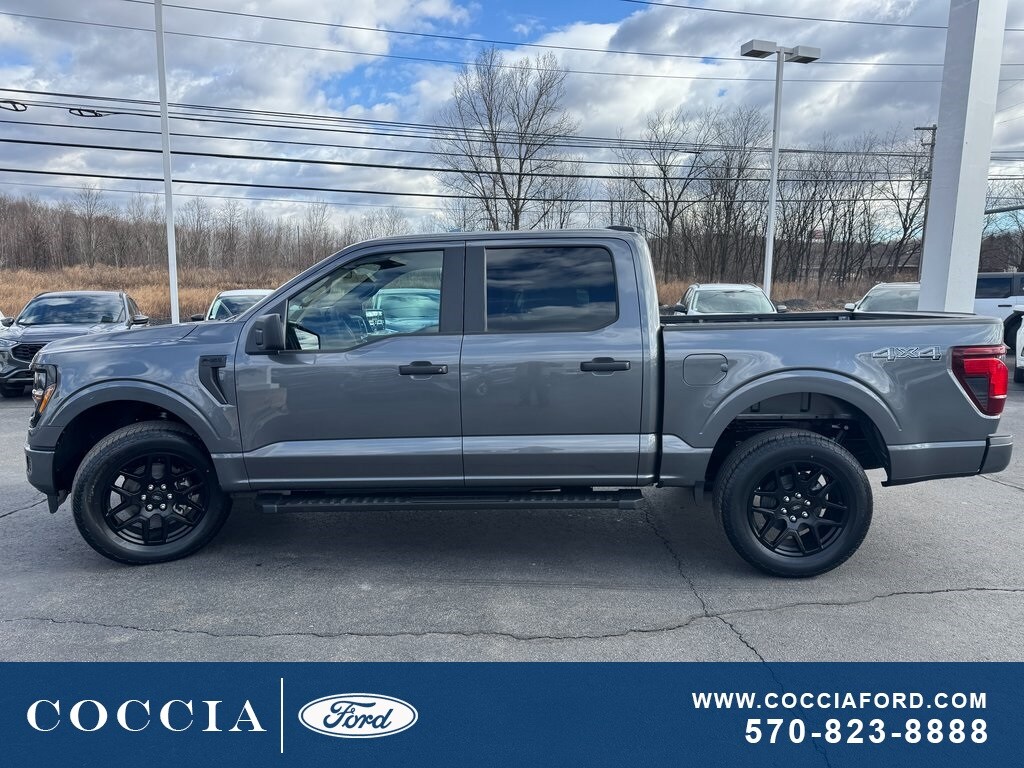 2025 Ford F-150 STX photo 3