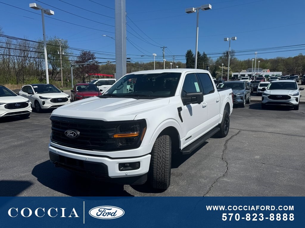 2025 Ford F-150 XLT photo 3
