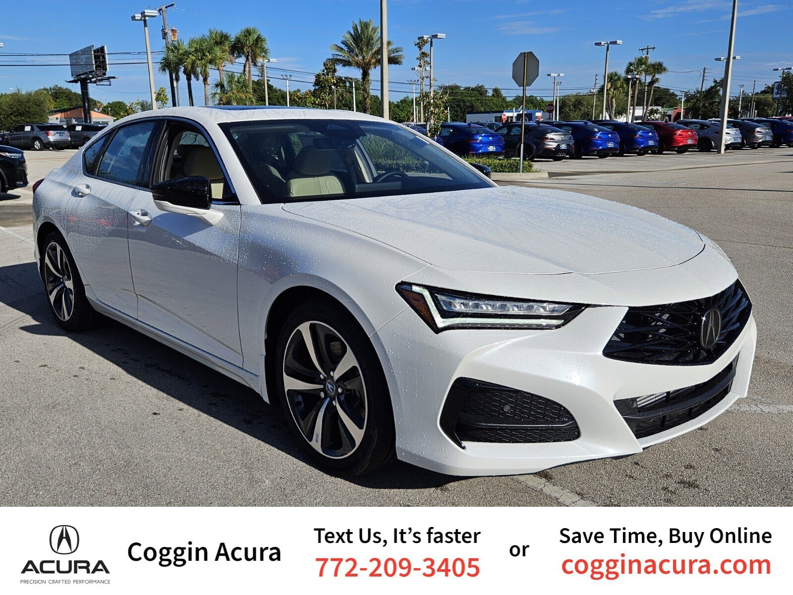 2025 Acura TLX Technology Package's photo