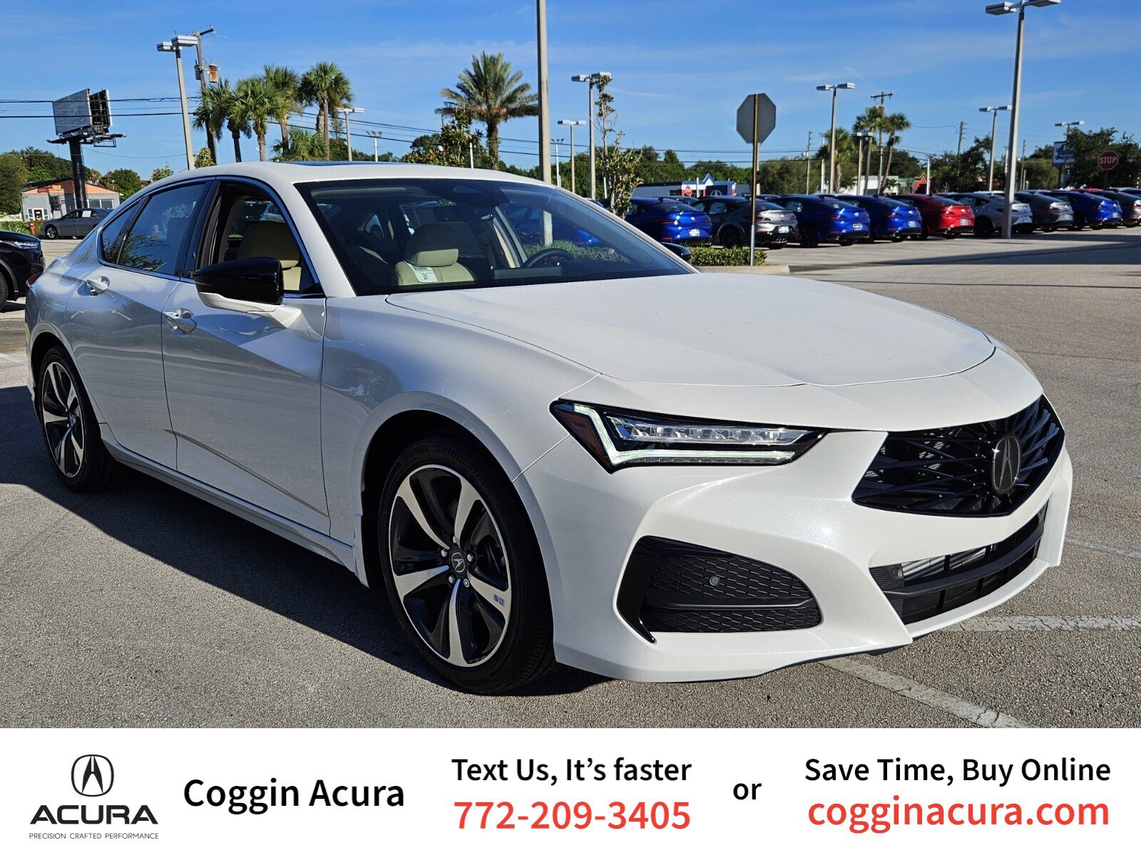 2025 Acura TLX Technology Package's photo