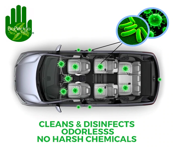 Clean and disinfect your vehicle