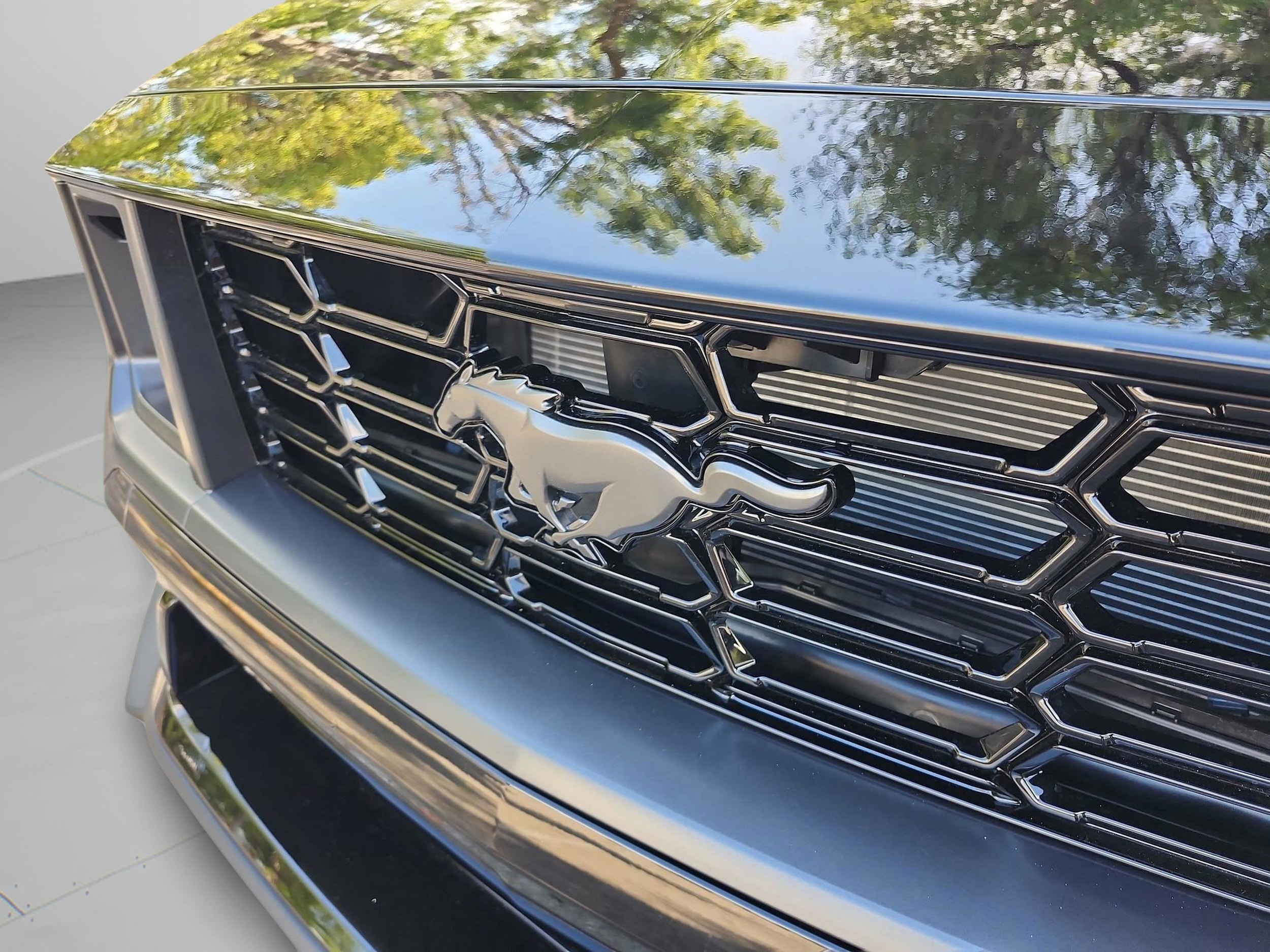 2025 Ford Mustang Dark Horse - Photo 15