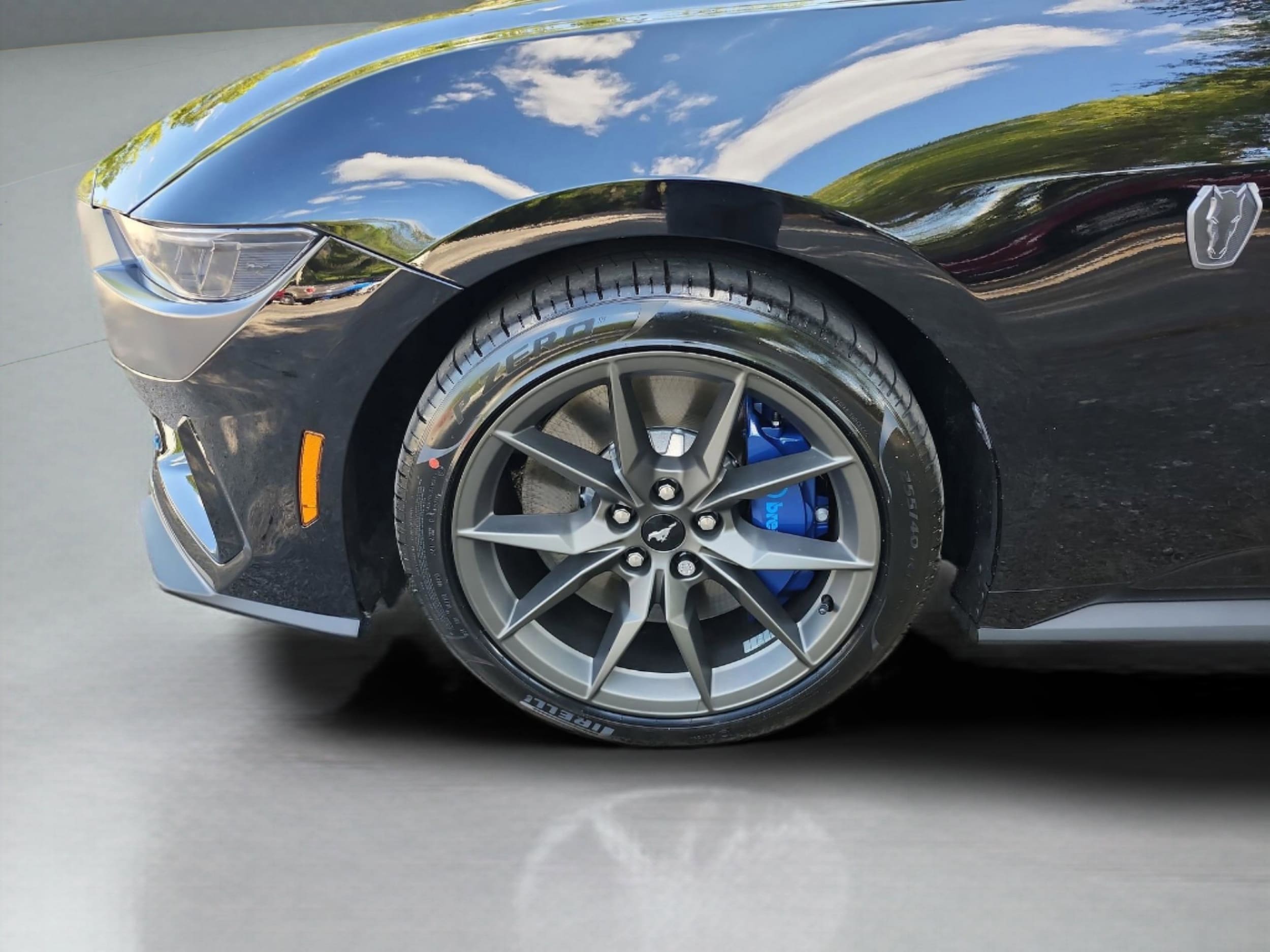 2025 Ford Mustang Dark Horse - Photo 12