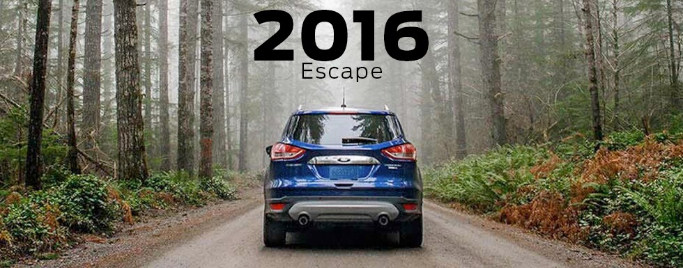 Ford Model Research & Comparisons