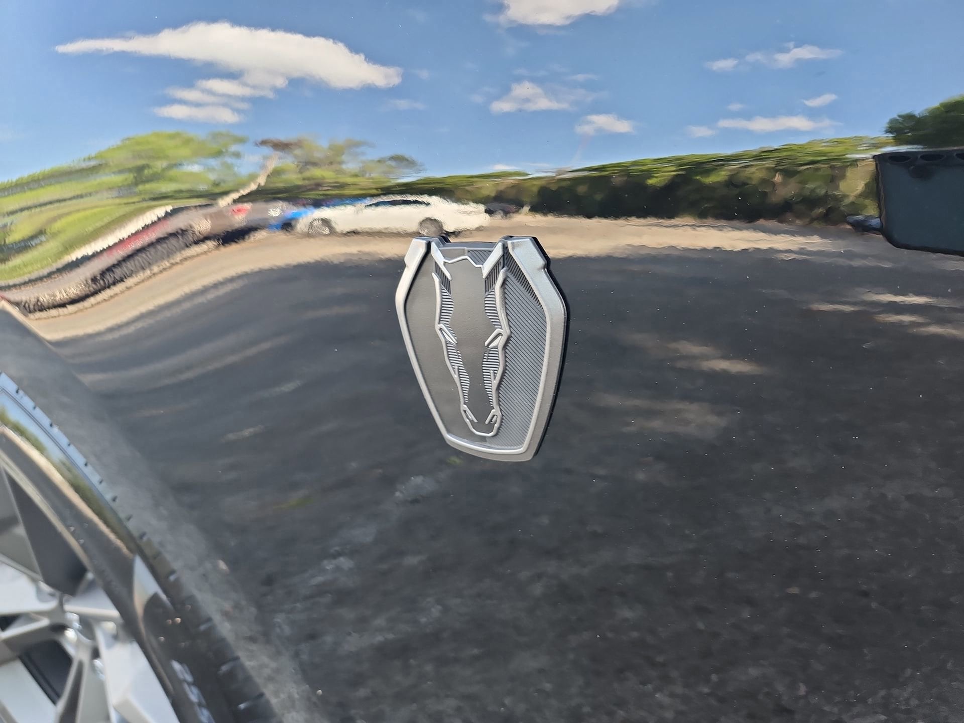 2025 Ford Mustang Dark Horse - Photo 14