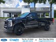 Ford Super Duty F-350 SRW