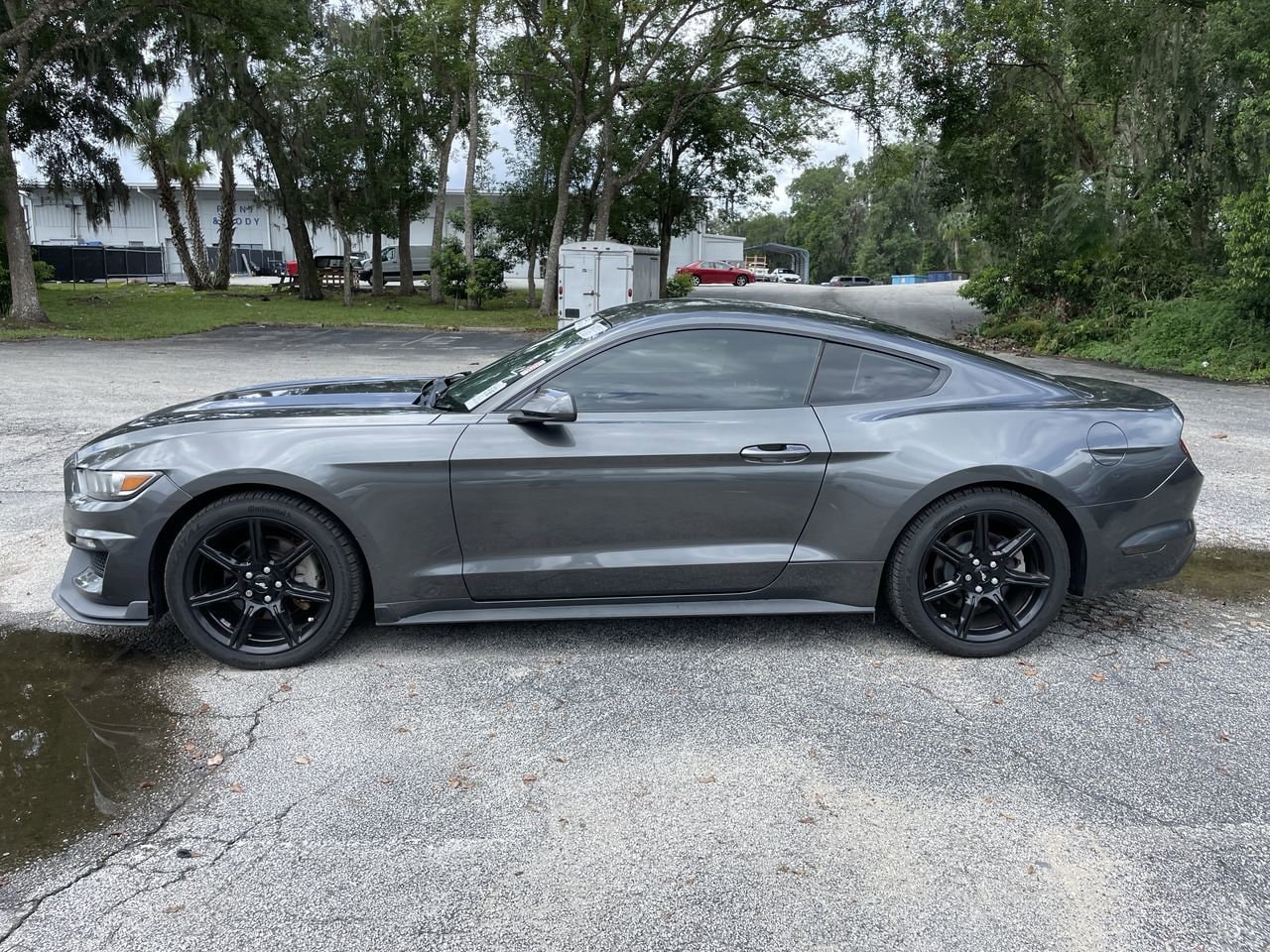 Used 2017 Ford Mustang V6 with VIN 1FA6P8AM7H5271129 for sale in Orange City, FL
