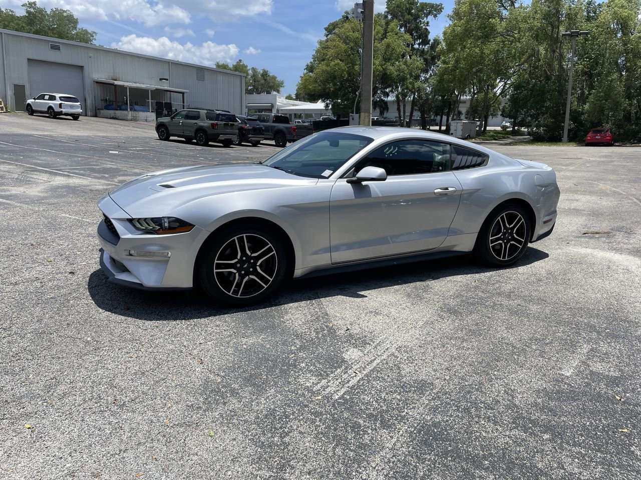 Used 2019 Ford Mustang EcoBoost Premium with VIN 1FA6P8TH7K5119567 for sale in Orange City, FL