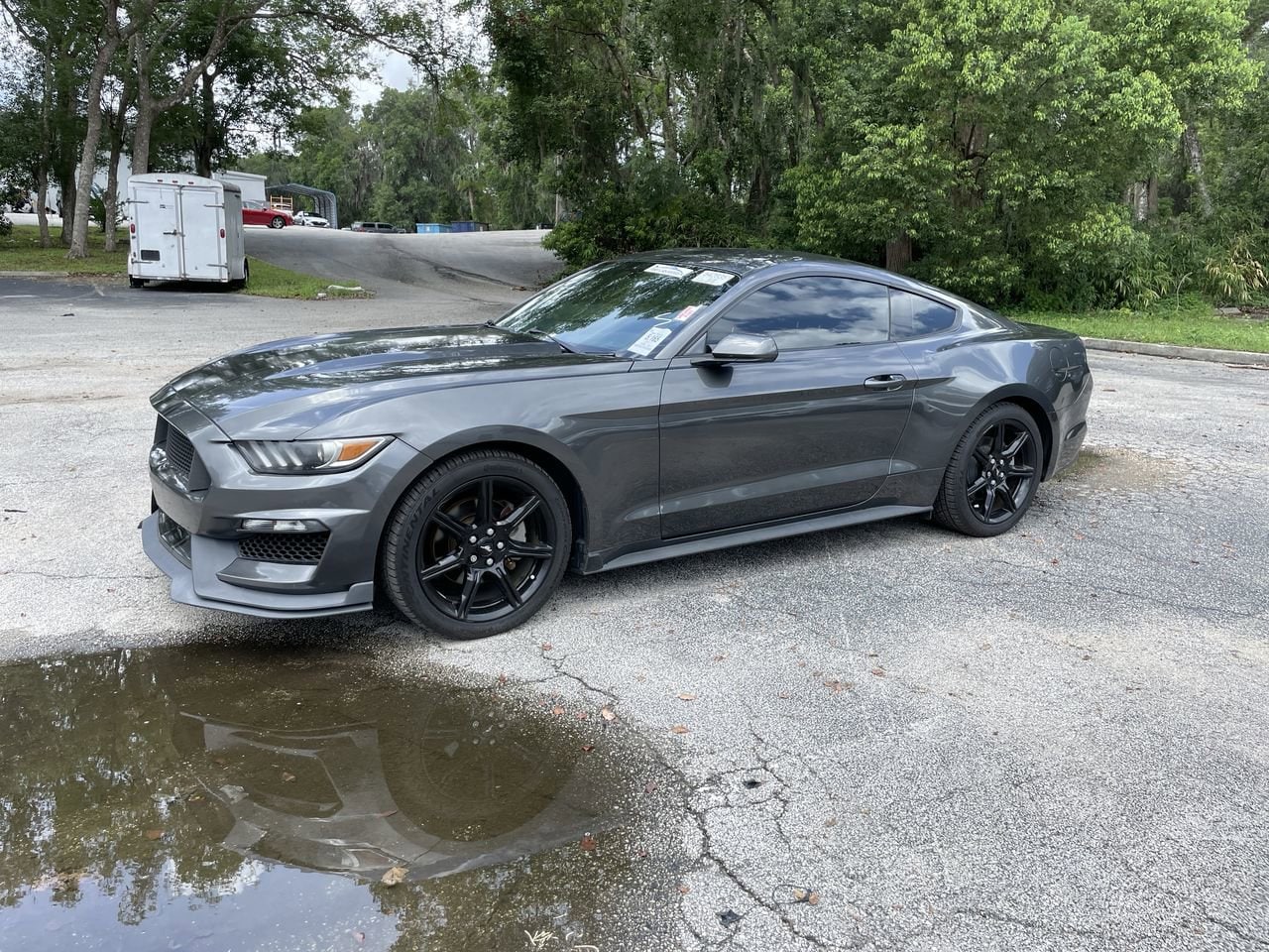 Used 2017 Ford Mustang V6 with VIN 1FA6P8AM7H5271129 for sale in Orange City, FL