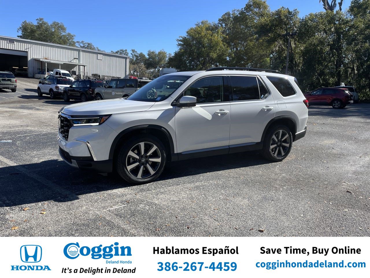 2025 Honda Pilot Elite's photo