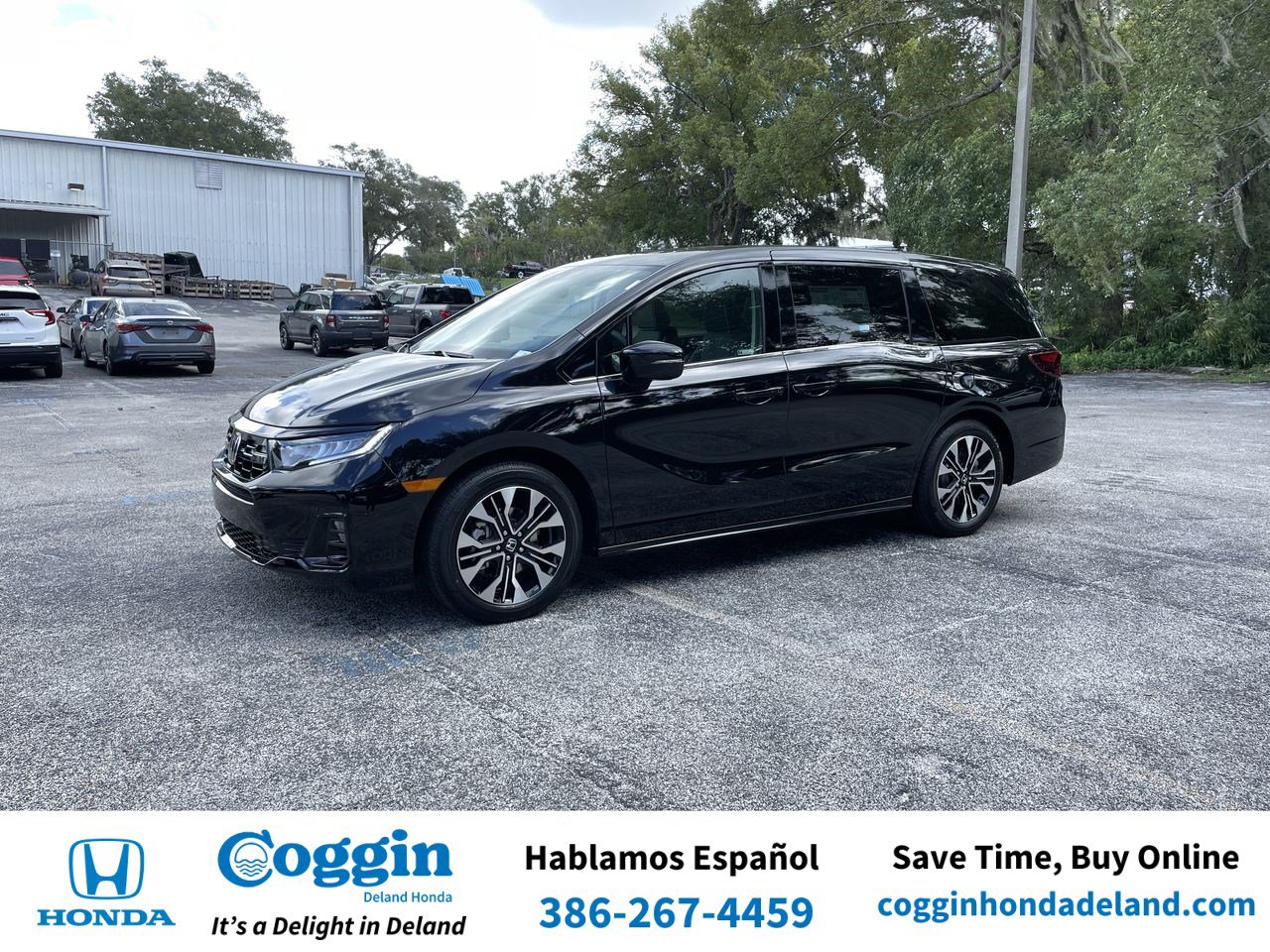 2026 Honda Odyssey Elite's photo