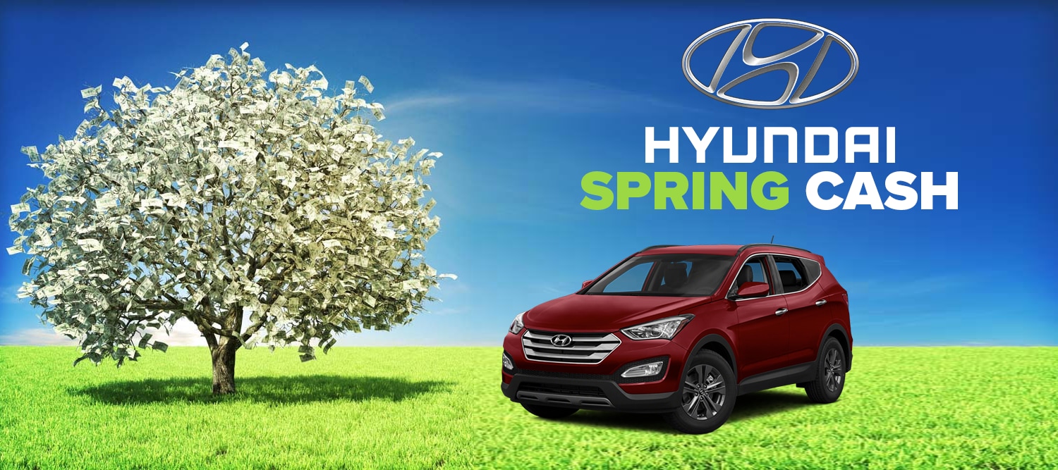 Hyundai Spring Cash