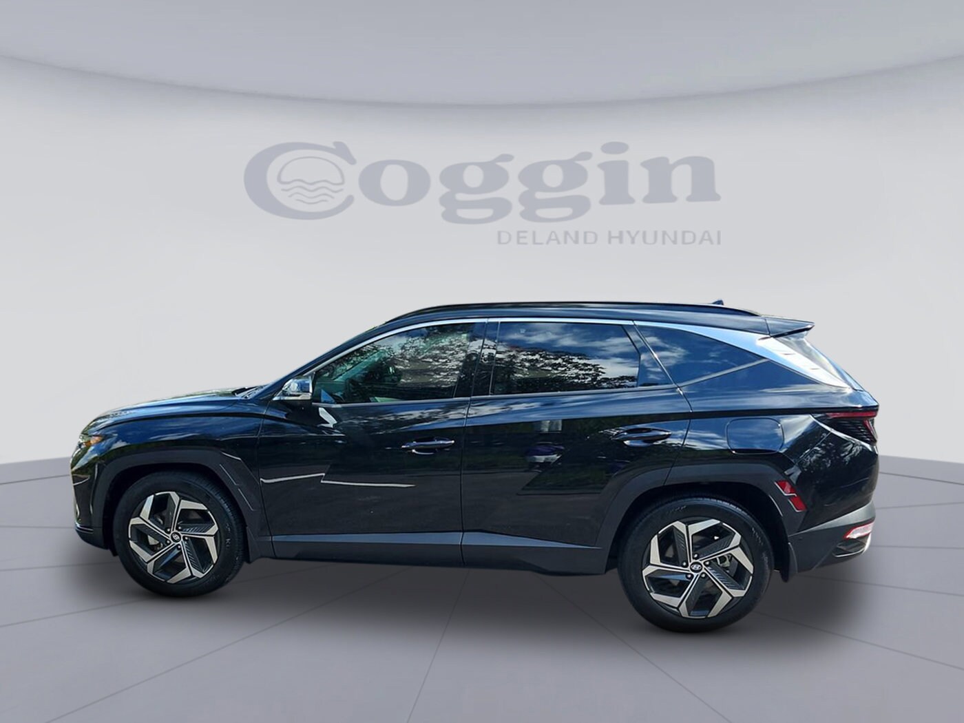2024 Hyundai Tucson Limited photo 2