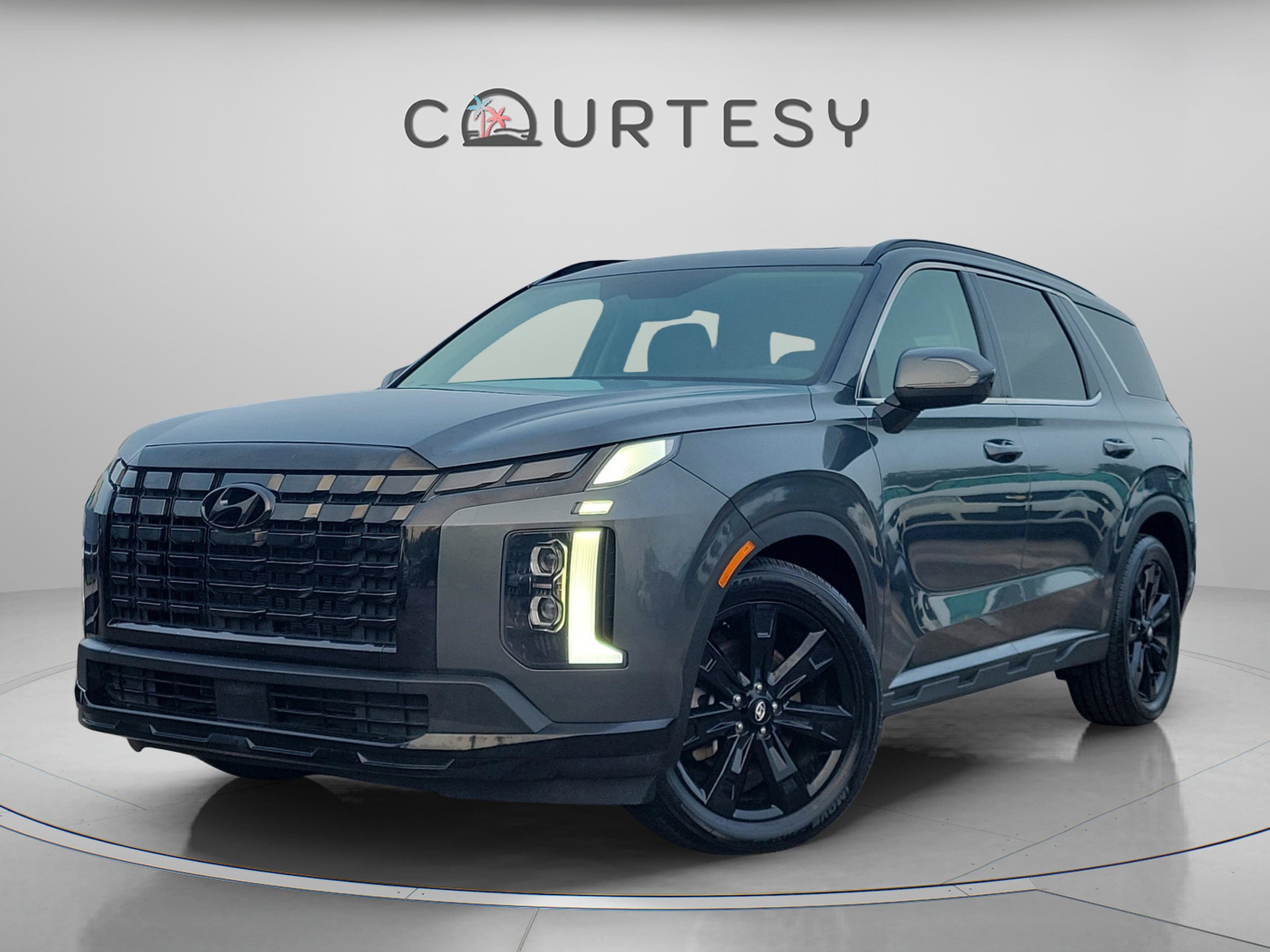 2024 Hyundai Palisade XRT - Photo 1