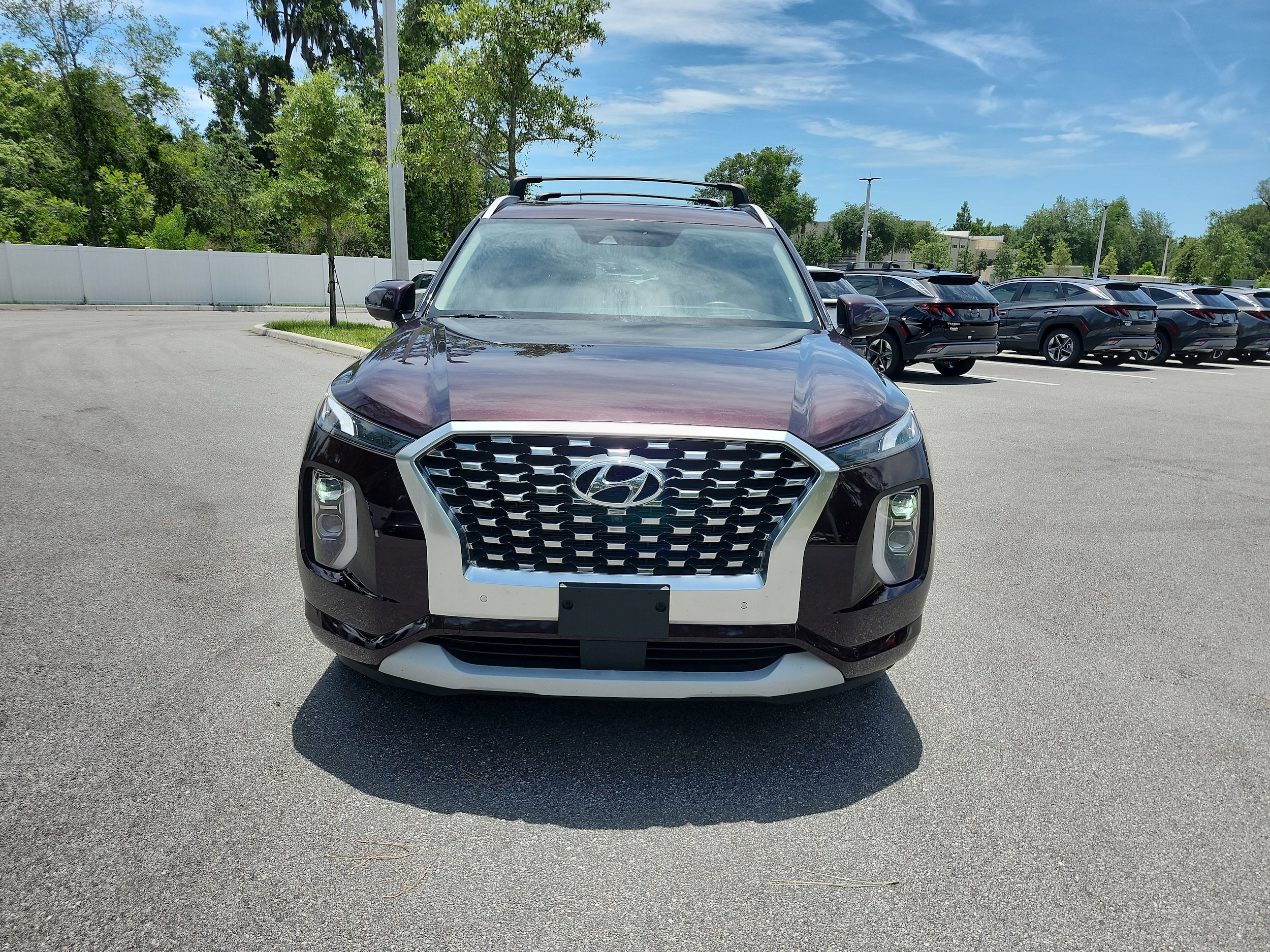 2021 Hyundai Palisade Limited - Photo 9