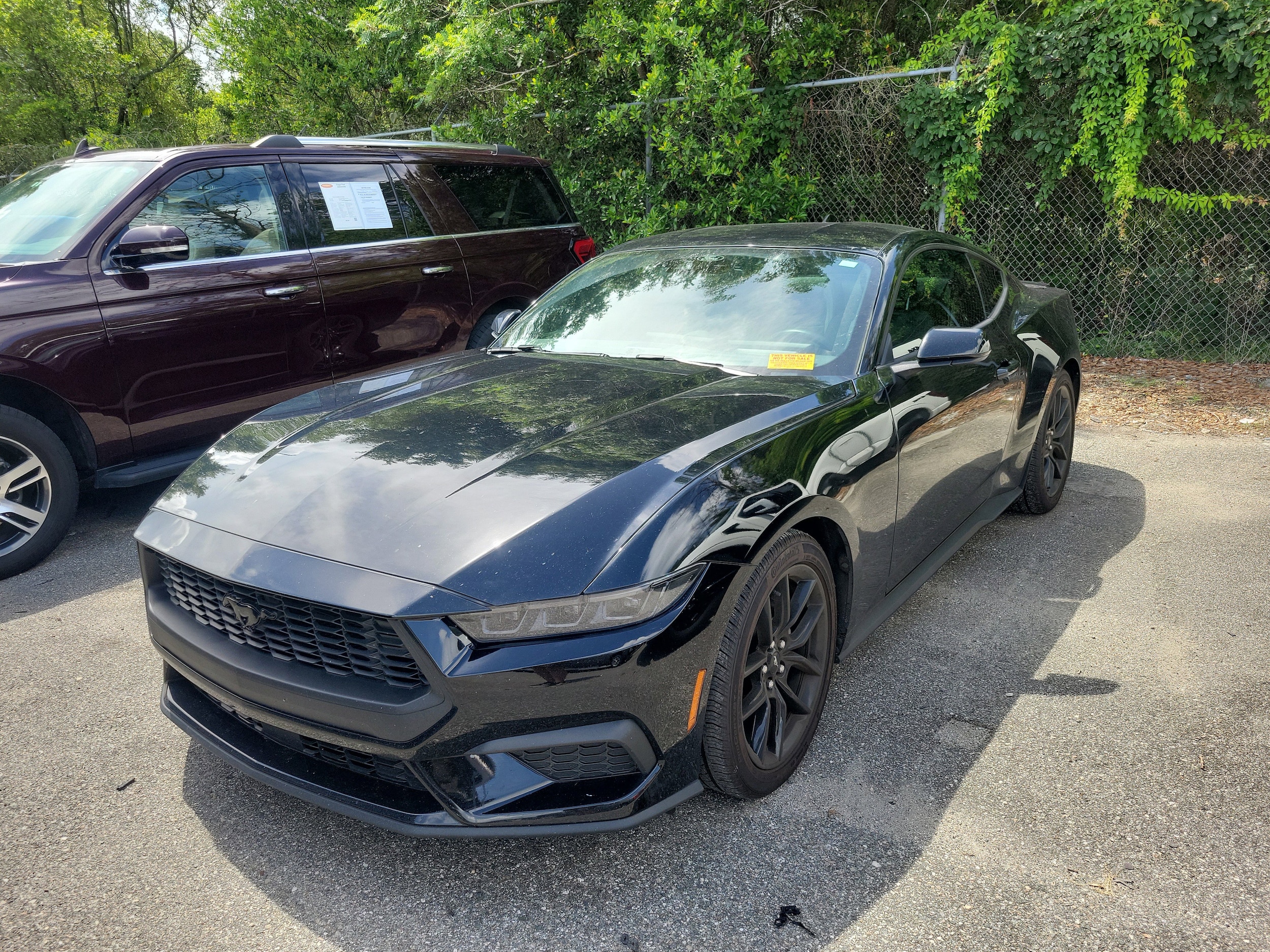 2024 Ford Mustang EcoBoost Fastback's photo