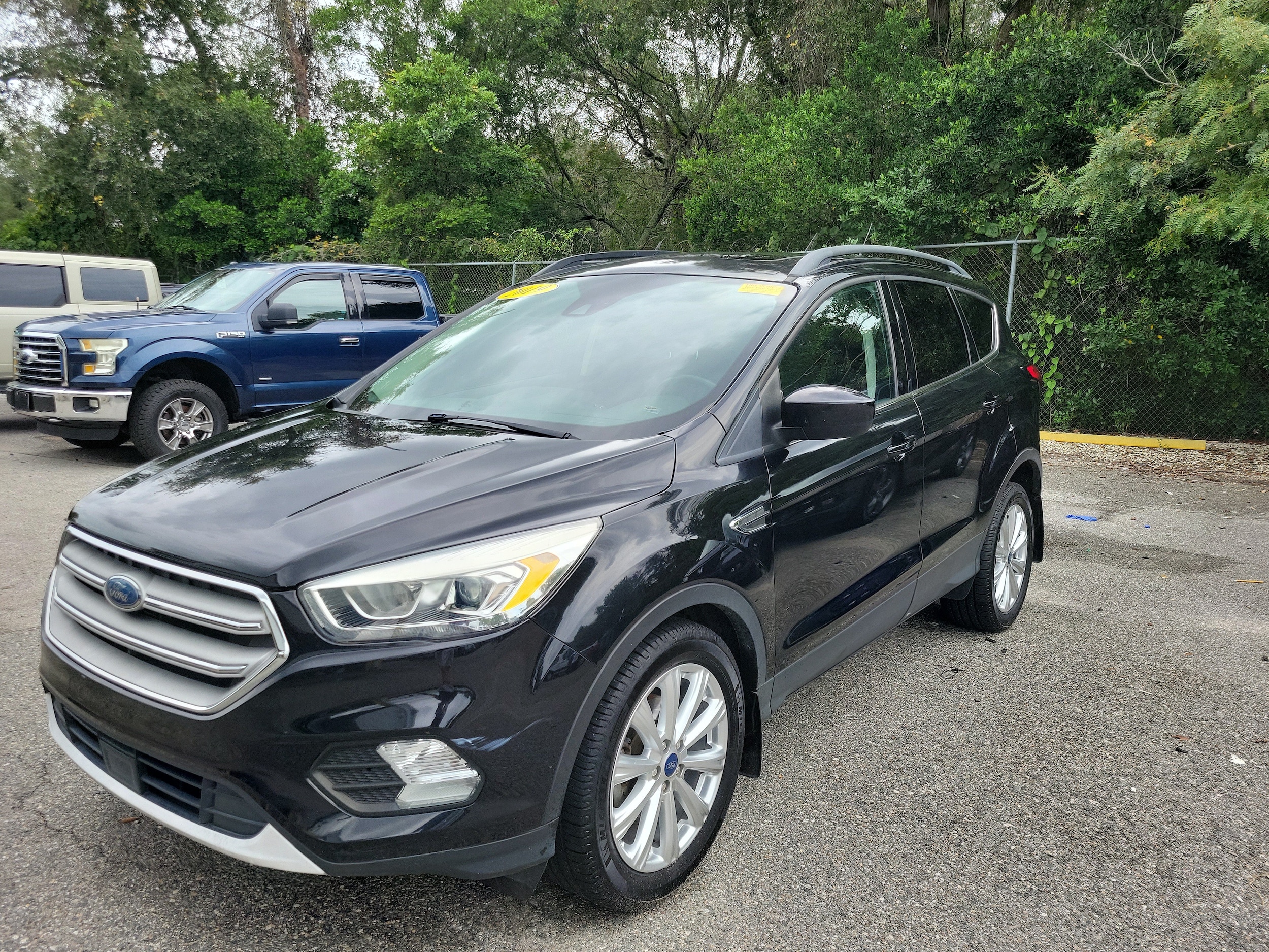 2019 Ford Escape SUV 