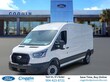 Ford Transit-250 Cargo