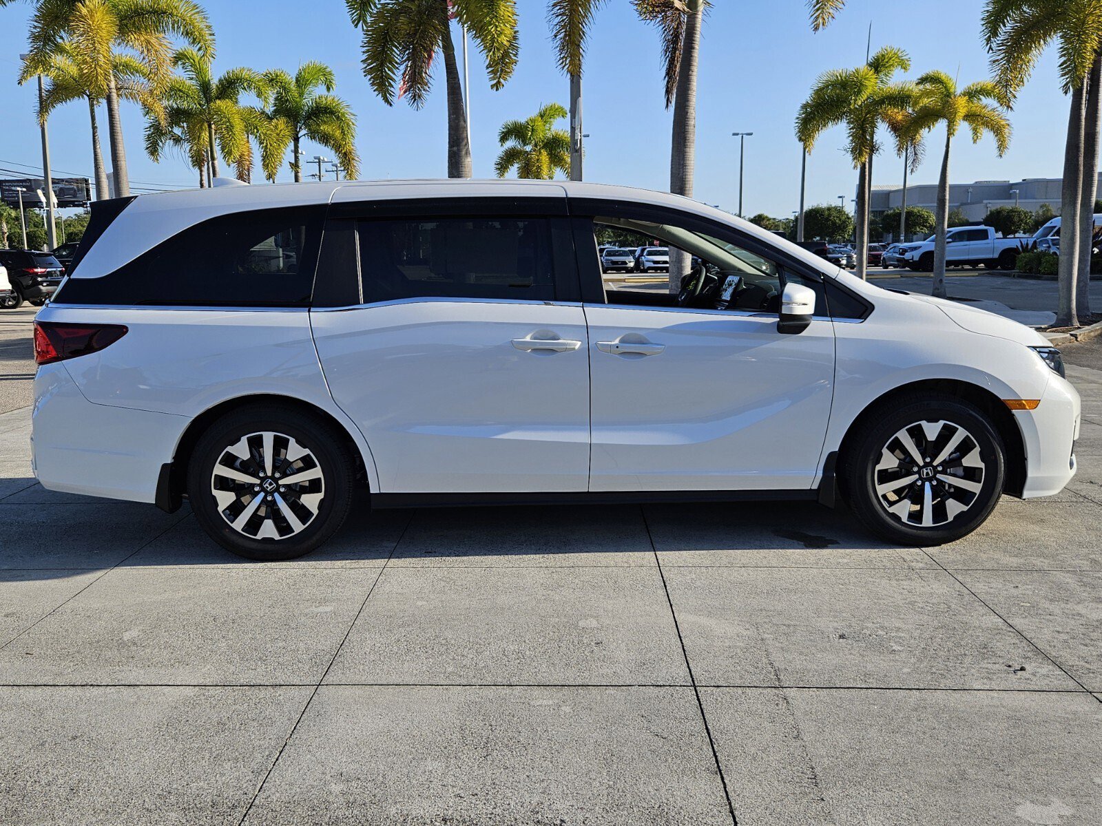 2025 Honda Odyssey EX-L photo 2