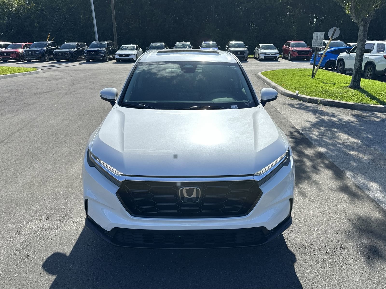 2026 Honda CR-V EX - Photo 10